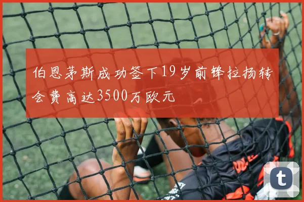 伯恩茅斯成功签下19岁前锋拉扬转会费高达3500万欧元