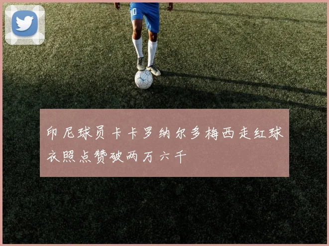 印尼球员卡卡罗纳尔多梅西走红球衣照点赞破两万六千