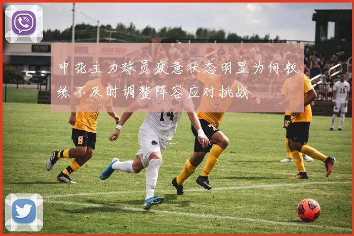 申花主力球员疲惫状态明显为何教练不及时调整阵容应对挑战